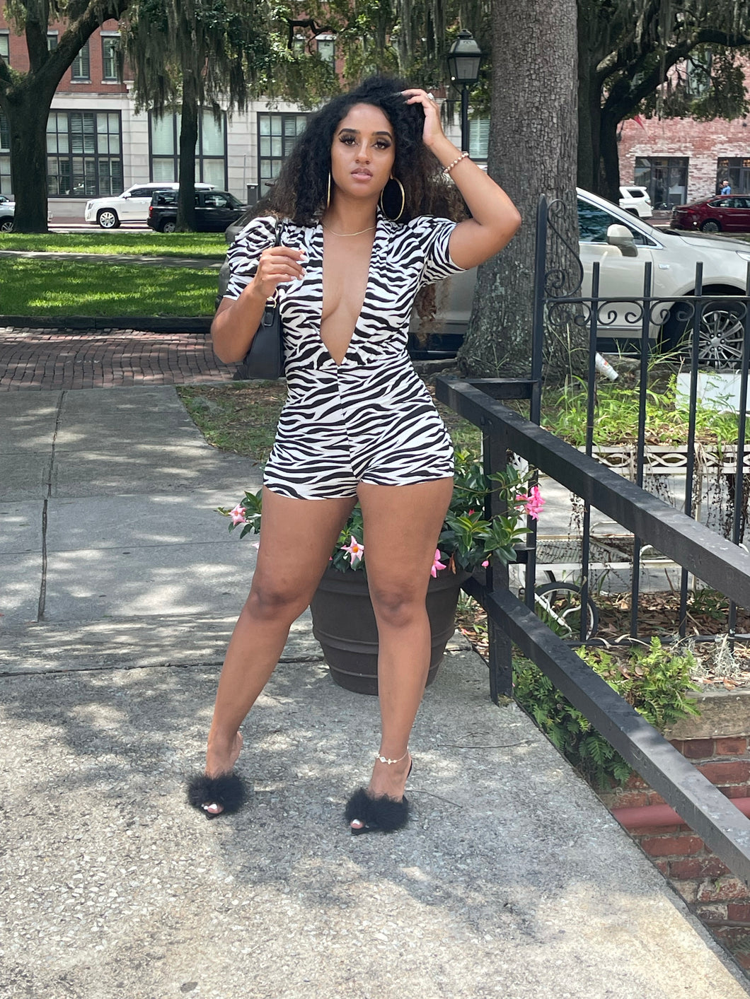 Badd in Zebra